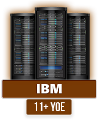 IBM Partner