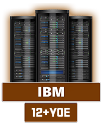 IBM Partner